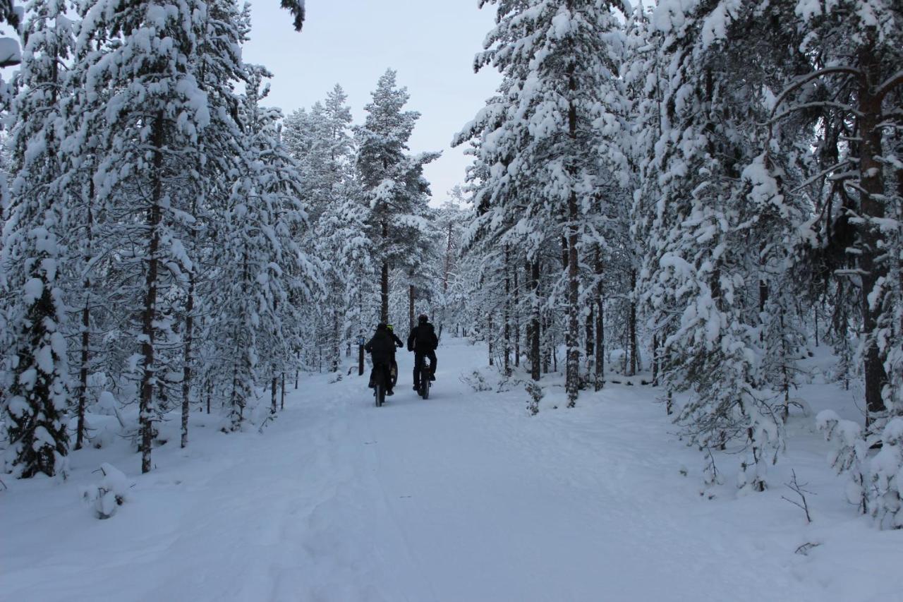 Studio Kaarto Rovaniemi Exteriör bild
